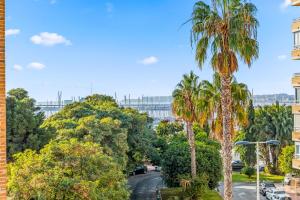 una calle con palmeras y un edificio en Unique Apartahotel 3-3, en Torrevieja