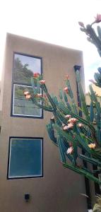 Bella Vista a las montañas في سان فرناندو ديل فالي دي كاتاماركا: محطه امام عماره فيها شباك