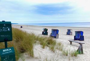un gruppo di sedie a sdraio disposte sulla sabbia di una spiaggia di Finn-Moritz a Zinnowitz Altre 6 foto