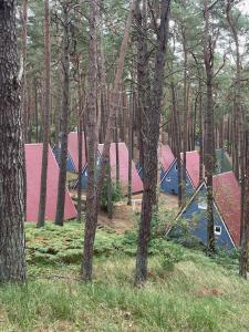 un gruppo di tende in una foresta con alberi di Finn-Ida a Zinnowitz