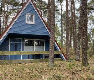 una casa blu in mezzo al bosco di Finn-Ida a Zinnowitz