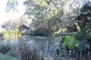 Un río con una casa en medio. en One on Old Main - Unit 2, en Hillcrest