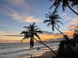 two palm trees on a beach at sunset at Sea Path Villa - Dikwella in Dickwella