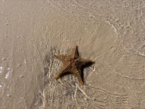 Fotografie z fotogalerie ubytování Casa Regina v destinaci Vilankulo