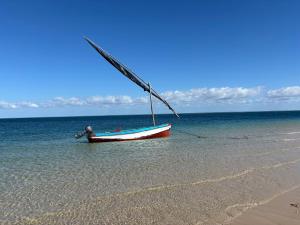 维兰库卢什Casa Regina的坐在海滩上水中的船 更多16张照片