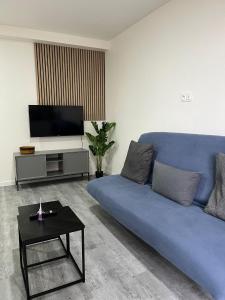 Appartements & Spa Orly Paris في فيلنوف سان جورج: غرفة معيشة مع أريكة زرقاء وتلفزيون +صورة واحدة