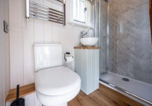 a bathroom with a white toilet and a sink at The Shepherds Hut at Anvil House in Woodbridge