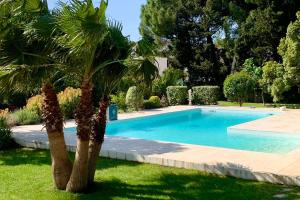 eine Palme neben einem Pool in der Unterkunft Gîte Studio Les Oliviers in Narbonne