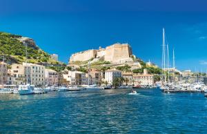 een groep boten in een haven met een kasteel bij U Caseddu in Sotta