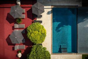 an overhead view of a pool with umbrellas and trees at goldfinger + suites in Lana