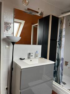 Koupelna v ubytování Maison cocconing proche Reims + 25 fotografií