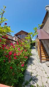 un jardin avec des fleurs rouges à côté d'un bâtiment dans l'établissement Cozy Nest Dilijan, entire home ,дом целиком, à Dilidjan