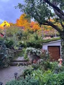 Un jardín con un edificio con garaje. en Casa Santa, en Sighişoara