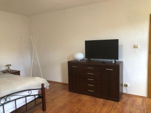 Un televizor și/sau centru de divertisment la Penzion Apollón