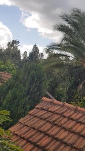 a roof of a house with a palm tree in the background at La Hacienda in Nairobi