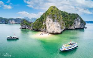 カットバ島にあるSea Dragon Hotel Cát Bà & Aparmentの小さな島付近の水上船