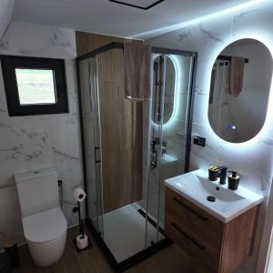 a bathroom with a shower and a toilet and a sink at Nest for Rest Nova Varos in Nova Varoš +56 photos