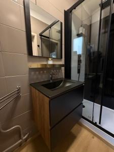 Et badeværelse på Studio balcon cozy center of Mons + 7 billeder