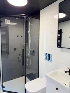 une salle de bains avec douche, toilettes et lavabo dans l'établissement Leśna Balia - Domek z balią na wyłączność, à Stogniewice