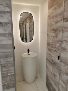 イーペルにあるVakantiehuis HA1の白い洗面台と鏡のあるバスルーム