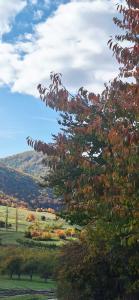 Příroda nedaleko prázdninového domu