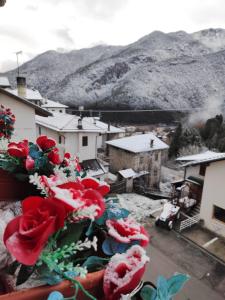 un gruppo di rose rosse appoggiate sul davanzale di una finestra di Rium Mare & Monti a Pieve di Cadore