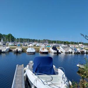een boot aangemeerd op een dok met boten in het water bij Julieregis in Biscarrosse