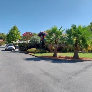 een auto geparkeerd aan de kant van een straat met palmbomen bij Julieregis in Biscarrosse +16 foto's