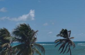two palm trees on the beach near the ocean at Pousada Rio Mar in Maxaranguape