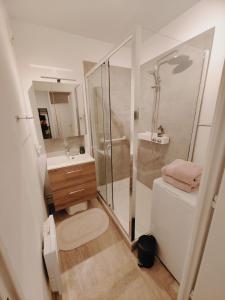 Un baño con ducha, inodoro y lavabo. en L'Atelier des rêves - Dream apartment for 6, en Lille