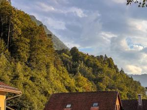 a mountain with trees and houses in front of it at City Center Apartment 1 in Interlaken