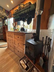 a kitchen with an old fashioned stove in it at Flowerdew Farm in Puncknowle