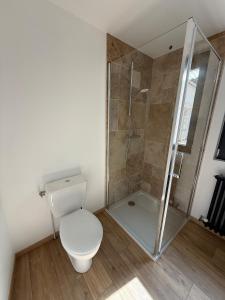 a bathroom with a toilet and a shower at Suite 2- La Petite Auberge in Langres