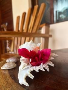 Fotografie z fotogalerie ubytování Casa Regina v destinaci Vilankulo