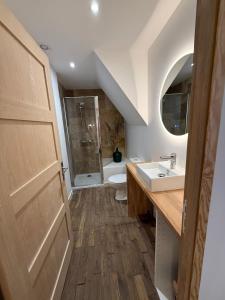 a bathroom with a toilet and a sink and a shower at Suite 3- La Petite Auberge in Langres