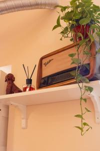 een plank met een plant en een radio erop bij Corte Oliveta in Matera