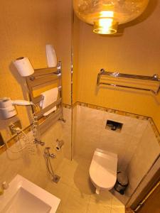 a bathroom with a toilet and a sink at Antique Royal Hotel in Baku