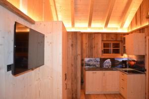 een keuken met houten wanden en een tv aan de muur bij Kuenerhof in Versciaco di Sopra +27 foto's