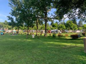 a park with a tree and people in the grass at Lido Verbano Camping Village in Castelletto sopra Ticino