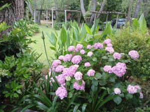 En have udenfor Dielmeral Cabañas + 7 billeder