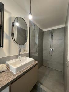 Farska apartman priamo v centre Nitry في نيترا: حمام مع حوض ودش ومرآة