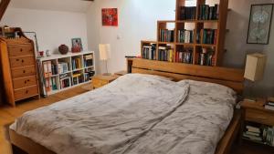 una camera con letto e librerie con libri di Spacious 4-Bedroom LOFT a Katzbach