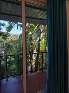 Balkón nebo terasa v ubytování Camellia Inn + 29 fotografií