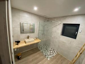 a bathroom with a shower with a cat sitting on a counter at Chalets Capucine ou Clochette 5P - SPA Privatif in Rochesson +45 photos