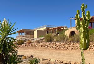 Un cactus frente a una casa en un desierto. en Les Jardins de la Santé, en Tamazouzte