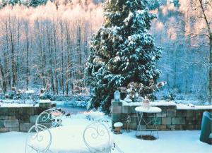 a snow covered yard with a christmas tree and chairs at Domaine de la Brême 