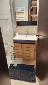 een badkamer met een wastafel, een spiegel en een tapijt bij SPOMAR One Bedroom Apartment in Bansko