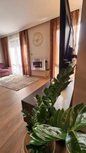een woonkamer met een klok aan de muur en een plant bij SPOMAR One Bedroom Apartment in Bansko