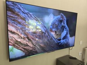 Μια τηλεόραση ή/και κέντρο ψυχαγωγίας στο Honeywood Stays - Cozy Corner