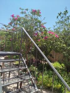 una rampa di scale con fiori rosa in giardino di Depto comodo a La Banda